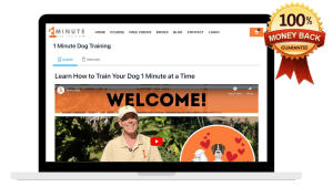 1 Minute Dog Training Course