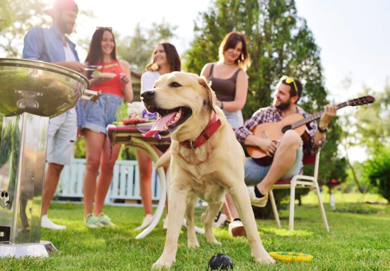 RELAXED SOCIAL GATHERINGS