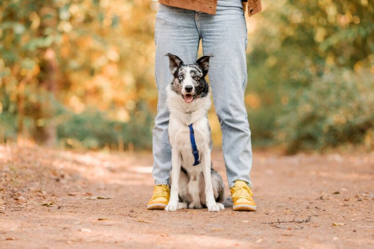 ENJOYABLE WALKS