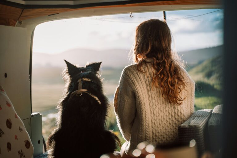TRAVEL COMPANIONSHIP